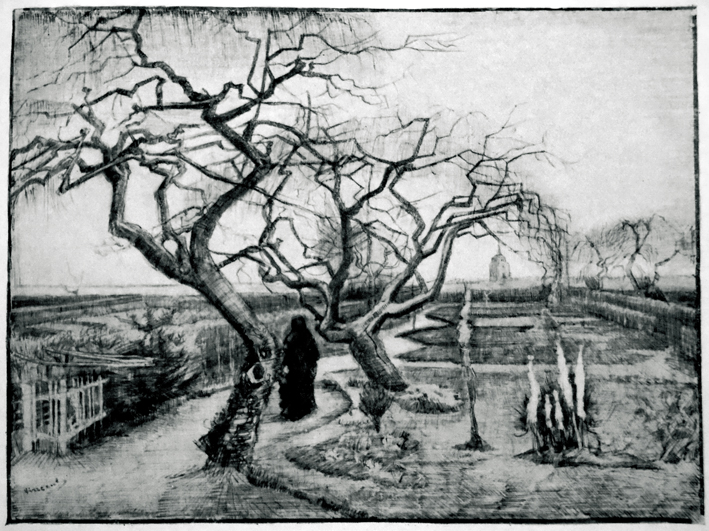  文森特·威廉·梵高  Vincent Willen Van Gogh —— 素描线稿 (11)